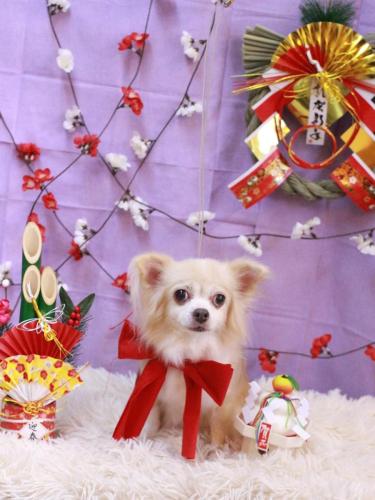 20230108チャッピーちゃん